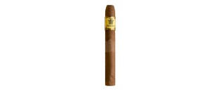 TRINIDAD SHORT 66 YEAR OF THE DRAGON